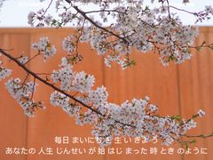 -龙美术馆(西岸馆)