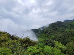 -梦幻奥陶纪景区