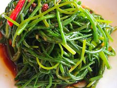 -巴依老爷新疆美食(工体旗舰店)