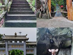 -长沙黑麋峰国家森林公园