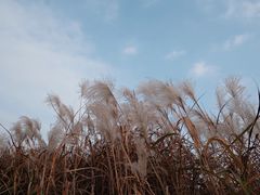 -良渚古城遗址公园