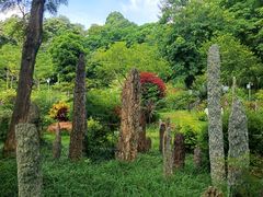 -东莞植物园