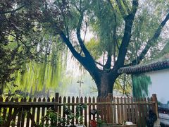 -万柳阁小馆·花园餐厅(龙潭湖店)