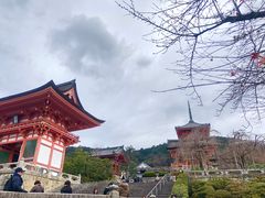 -有栖山 清光院 清水寺