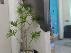 -苏豪美发S A L O N烫发染发