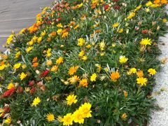 -上海科技馆(地铁站)