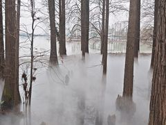 -东湖落雁景区