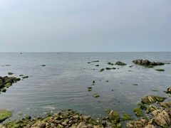 -海岛日记(养马岛店)
