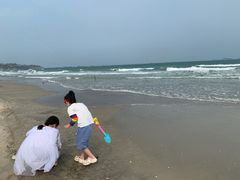 -汕尾风车岛