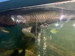 -泉州海丝野生动物世界