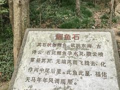 -上海佘山国家森林公园天马山园