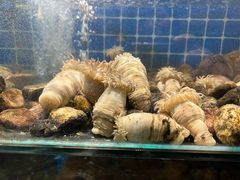 -健眺小海鲜(临海后山店)