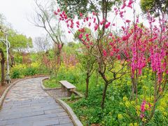 -南汇桃花村