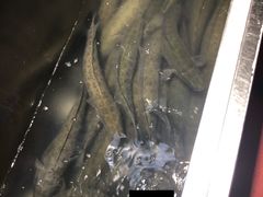 -黑鱼郭我家酸菜鱼(摩尔广场店)
