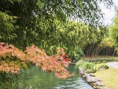 -杭州植物园