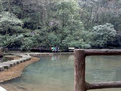 android_upload_pic-碧峰峡风景区