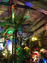 -恐龙探索乐园(磁器口店)