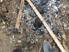 -顾村公园3号门停车场