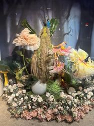 -酷嗒动物文化乐园(cutezoo西溪乐天城店)