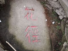 -庐山风景区花径公园