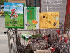 -福满堂芦花鸡酒店(尚书路店)