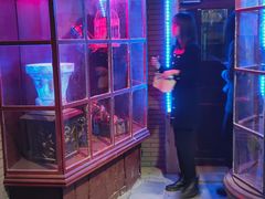 -神盾局密室逃脱