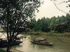 -溱湖国家湿地公园