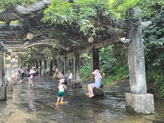 -花溪风景区