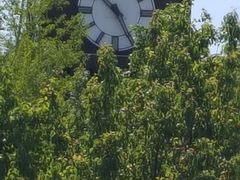 -永定河休闲森林公园