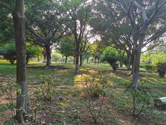-东莞市大岭山森林公园
