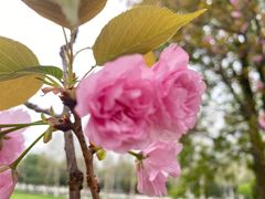 -重庆中央公园(渝北区)