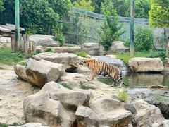 -常州淹城野生动物世界