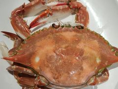 -渔码头食府·20年蓬莱老字号(登州路店)
