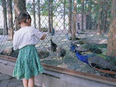 -南京金牛湖风景区