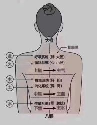 -丽减美瘦吧·减肥瘦身
