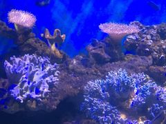 -石林冰雪海洋世界