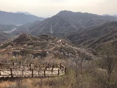 -大岭沟猕猴桃谷风景区