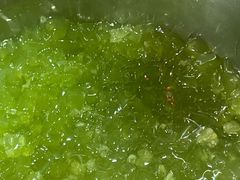 -鲍氏老字号冷热饮老店(瑞安店)