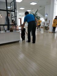 -尤尼可国际影像(万源分店)