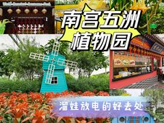 -南宫五洲植物乐园