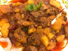 -巴依老爷新疆美食(望京小街店)