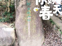 -梧桐山风景名胜区