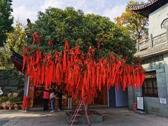 -东钱湖小普陀景区