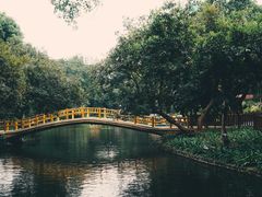 -晓港公园