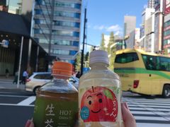 -秋叶原电器街