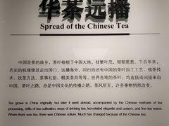 -中国茶叶博物馆(双峰馆区)