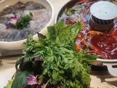 -蜀大侠火锅(总府路店)