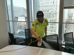 -绿色亿家除甲醛机构