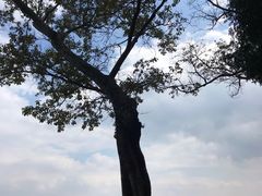 -抚仙湖禄充风景区