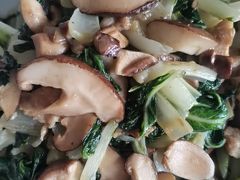 -海堤葡萄园中小学生研学基地